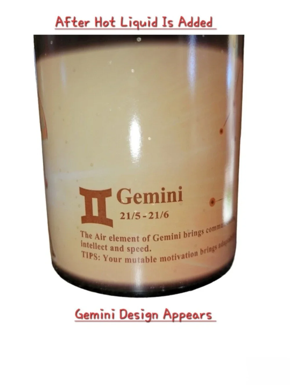 Gemini Twins Hot Transforming Mug Starts Dark Heat Turns It To Gemini Sign 10oz